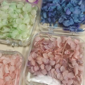 Alternative view of Hello spring!